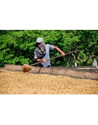 Préparation Café Presta Café